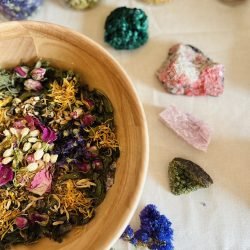 S__22642717