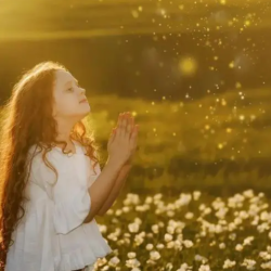 v2-5ef8616414d739f55f9c9892a94c560c_720w